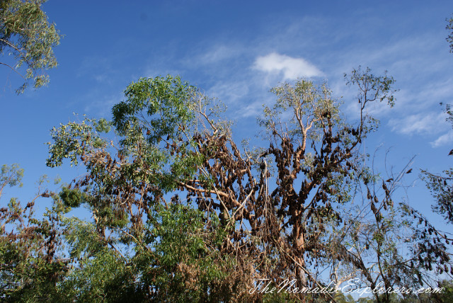 Australia, Northern Territory, Katherine and Surrounds, Nitmiluk National Park. Katherine Gorge, Baruwei Lookout, , 