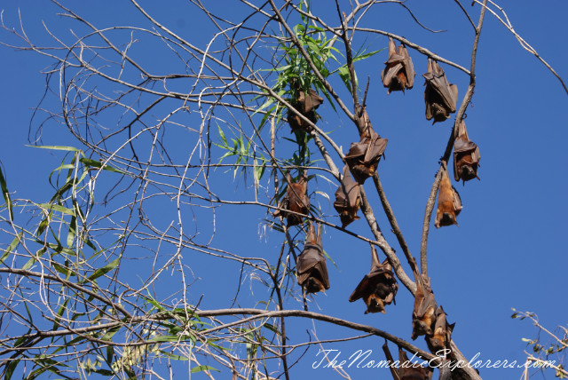 Australia, Northern Territory, Katherine and Surrounds, Nitmiluk National Park. Katherine Gorge, Baruwei Lookout, , 