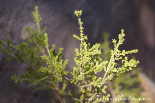 Australia, Northern Territory, Katherine and Surrounds, Nitmiluk National Park. Katherine Gorge, Baruwei Lookout, , 