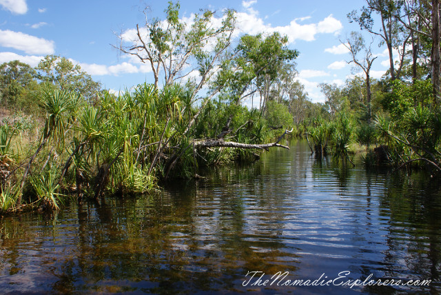 Australia, Northern Territory, Katherine and Surrounds, Nitmiluk National Park - Leliyn (Edith Falls), , 