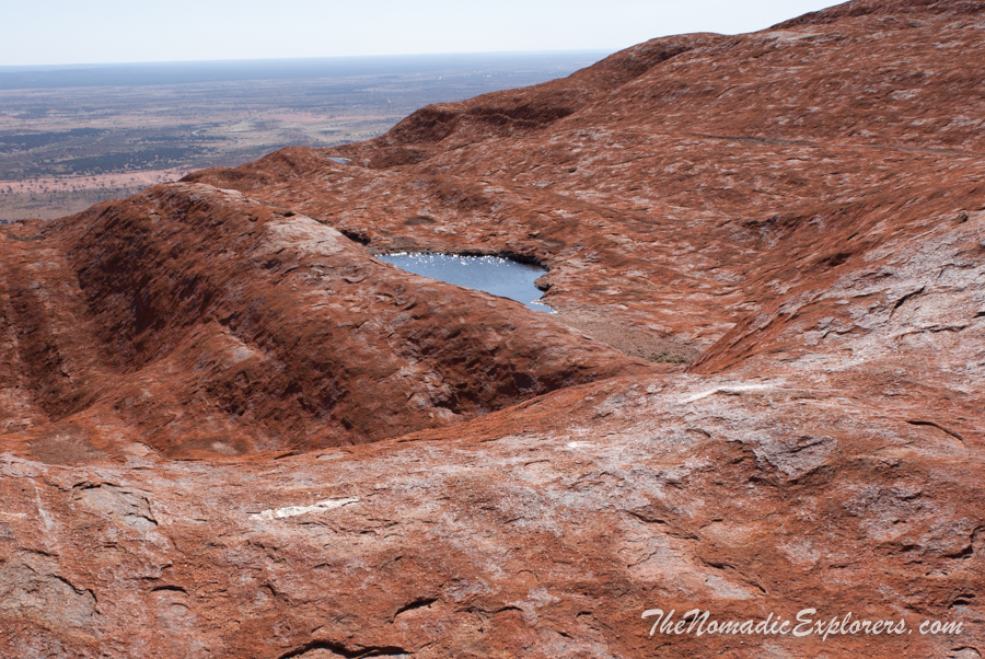 Australia, Northern Territory, Uluru and Surrounds, Из Дарвина в Аделаиду: День 6. “Красный Центр”. Подъем на Улуру, , 