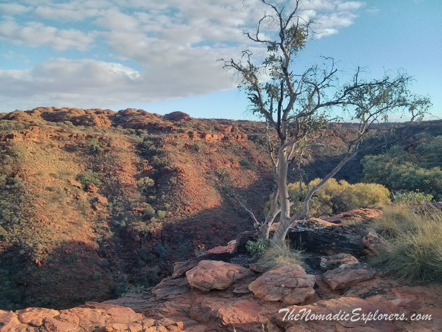 Australia, Northern Territory, Uluru and Surrounds, День 8. Из Дарвина в Аделаиду: “Красный Центр”. Watarrka National Park. Kings Canyon Rim Walk, , 