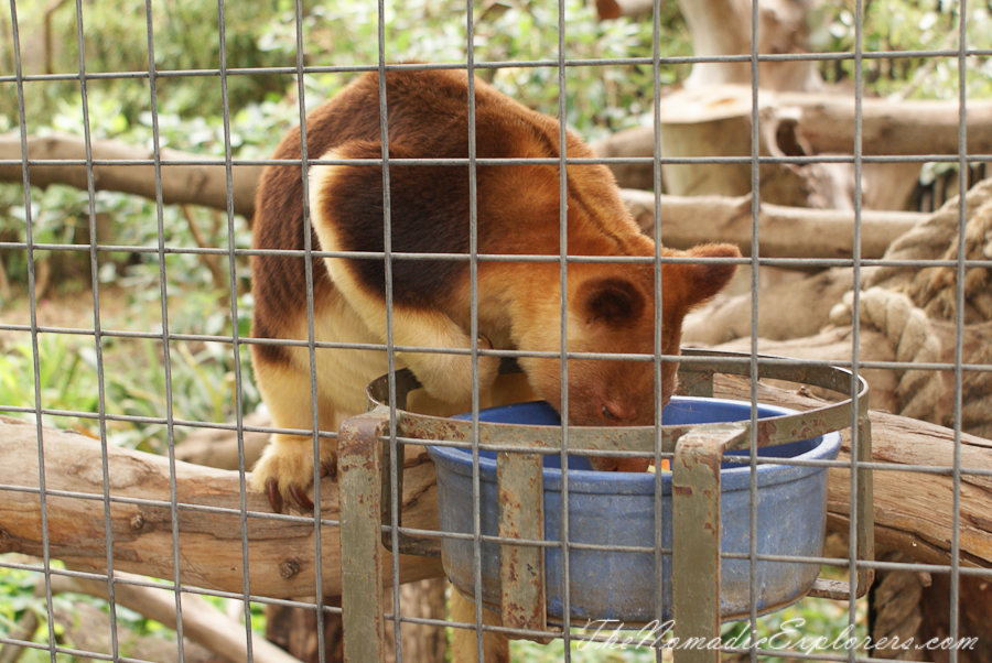 Australia, South Australia, Adelaide City, Adelaide Zoo, , 