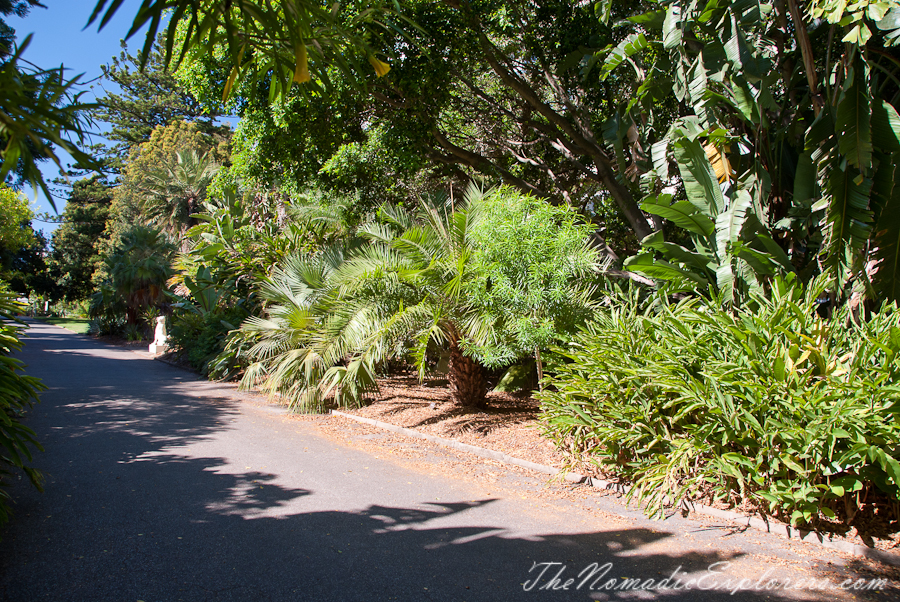 Australia, South Australia, Adelaide City, Adelaide Botanic Garden, , 