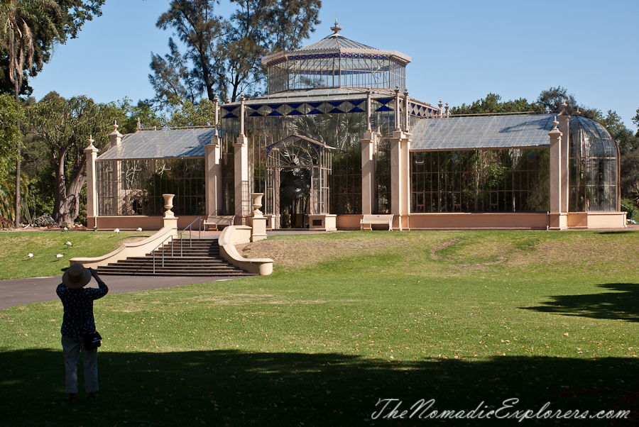 Australia, South Australia, Adelaide City, Adelaide Botanic Garden, , 