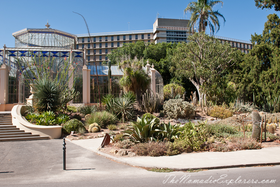 Australia, South Australia, Adelaide City, Adelaide Botanic Garden, , 