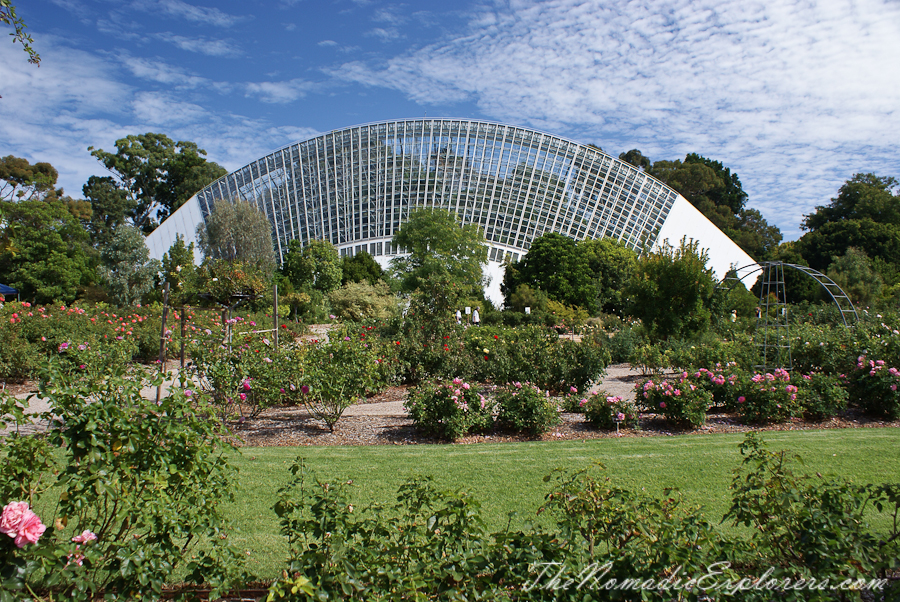 Australia, South Australia, Adelaide City, Adelaide Botanic Garden, , 