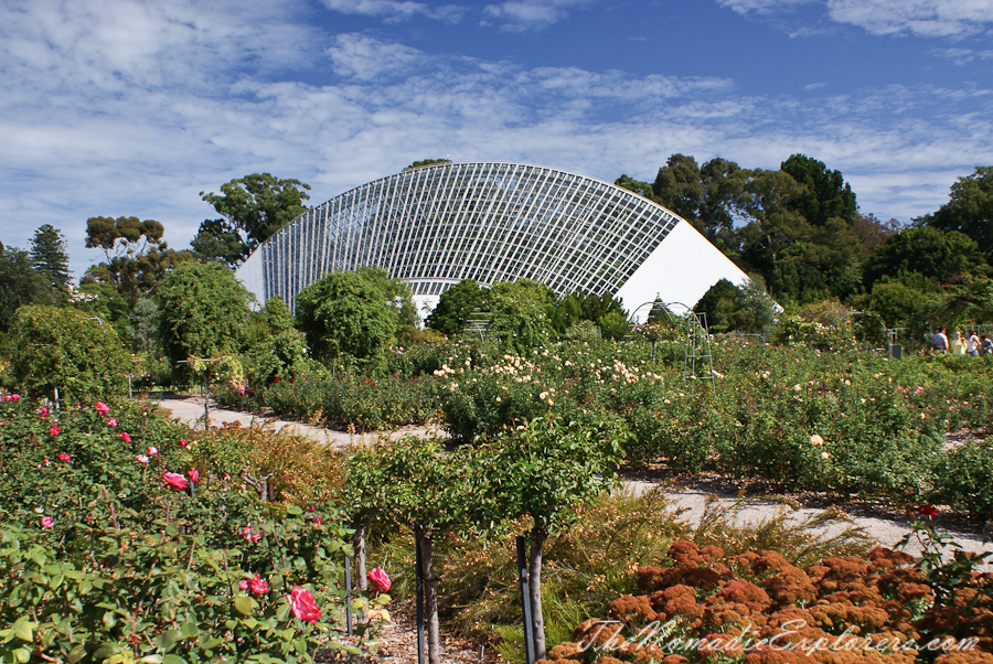 Australia, South Australia, Adelaide City, Adelaide Botanic Garden, , 
