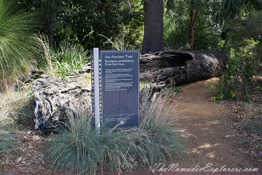 Australia, South Australia, Adelaide City, Adelaide Botanic Garden, , 