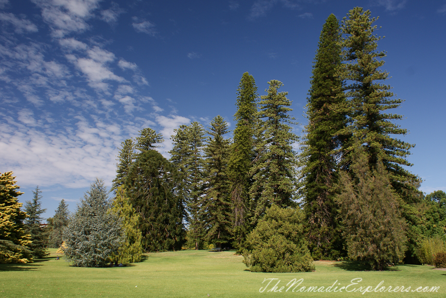 Australia, South Australia, Adelaide City, Adelaide Botanic Garden, , 