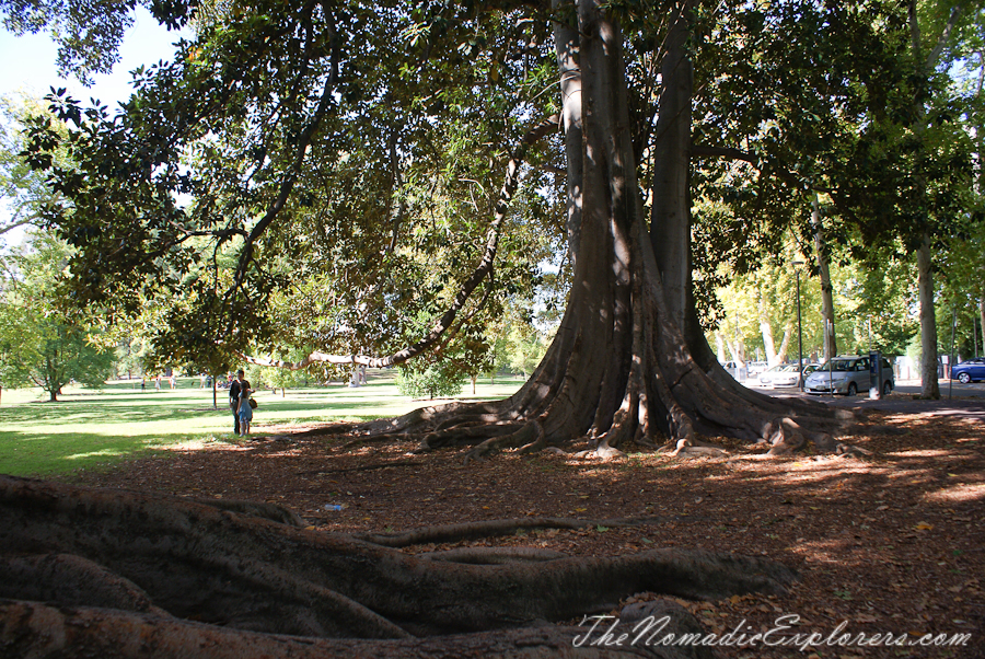 Australia, South Australia, Adelaide City, Adelaide Botanic Garden, , 