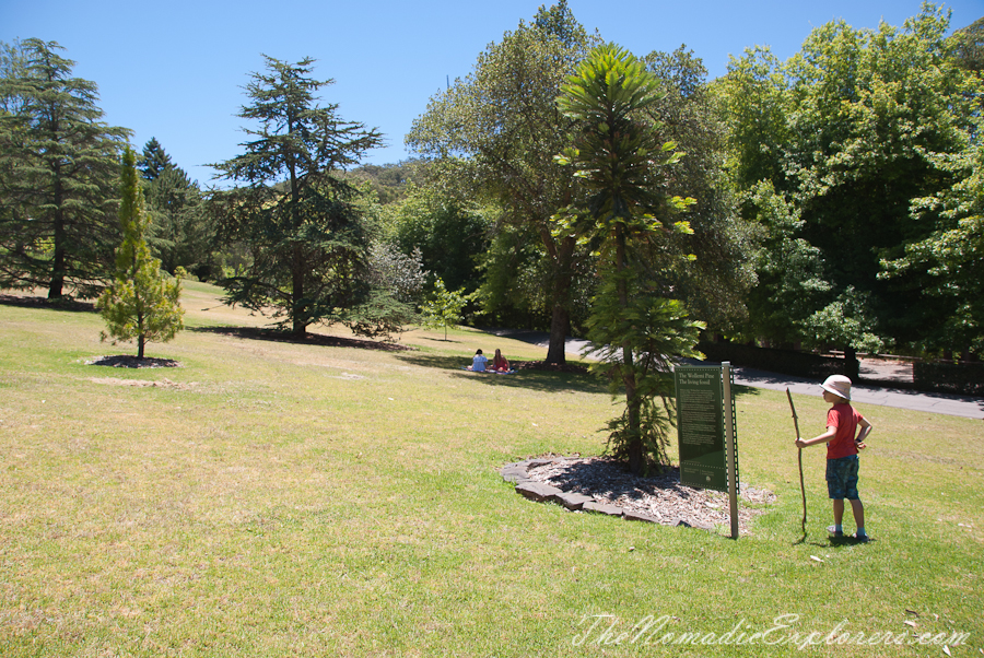 Australia, South Australia, Adelaide Hills, Mount Lofty Botanic Garden - Something for every season!, , 