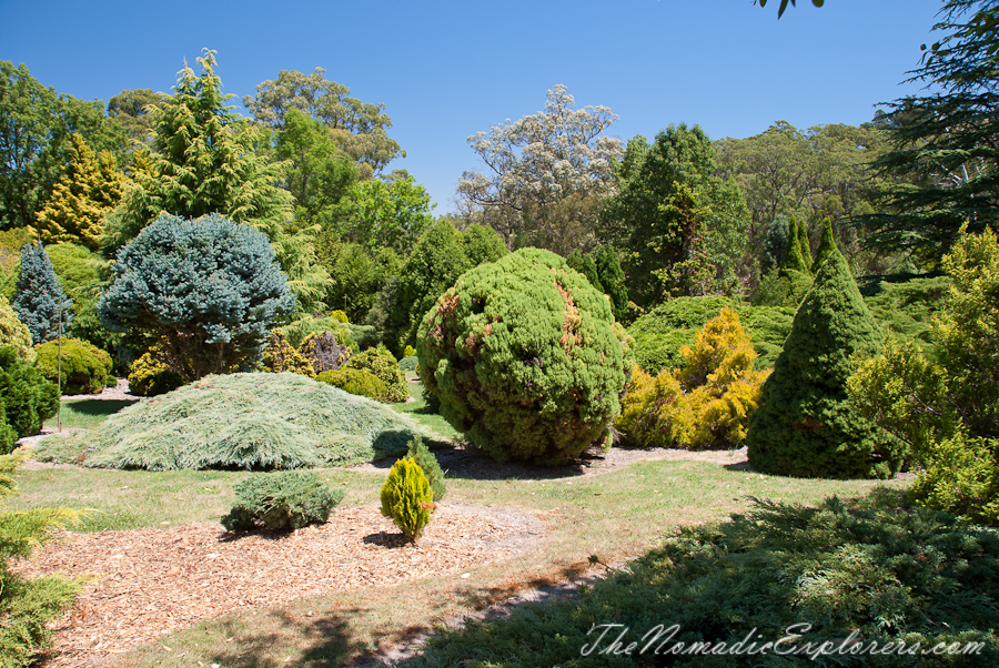 Australia, South Australia, Adelaide Hills, Mount Lofty Botanic Garden - Something for every season!, , 