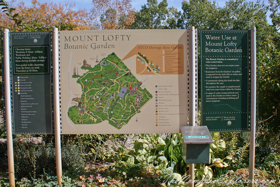 Australia, South Australia, Adelaide Hills, Mount Lofty Botanic Garden - Something for every season!, , 