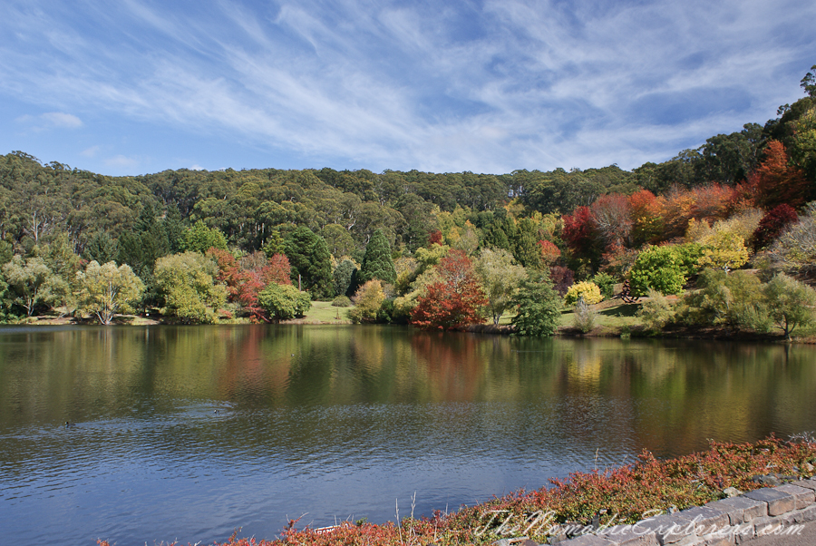 Australia, South Australia, Adelaide Hills, Mount Lofty Botanic Garden - Something for every season!, , 