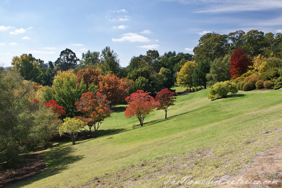 Australia, South Australia, Adelaide Hills, Mount Lofty Botanic Garden - Something for every season!, , 