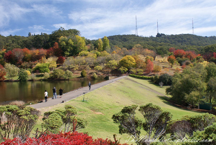 Australia, South Australia, Adelaide Hills, Mount Lofty Botanic Garden - Something for every season!, , 