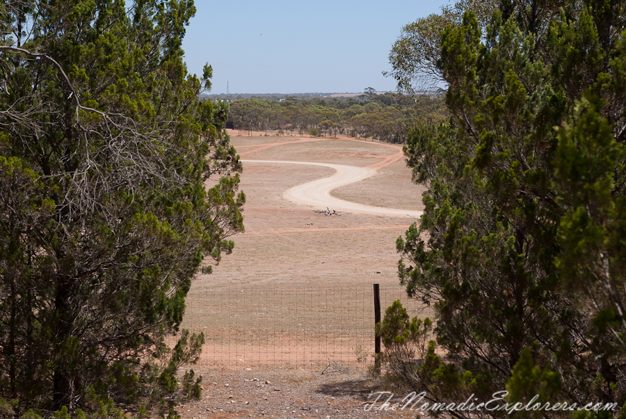 Australia, South Australia, Murray River, Lakes and Coorong, Monarto Zoo - Australian Safari Experience, , 