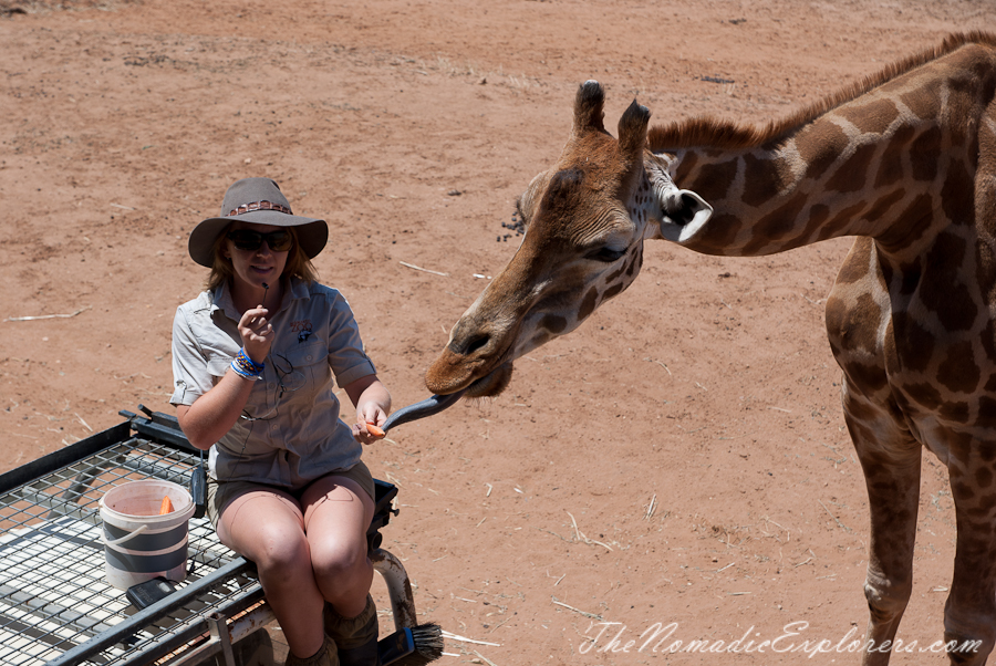 Australia, South Australia, Murray River, Lakes and Coorong, Monarto Zoo - Australian Safari Experience, , 