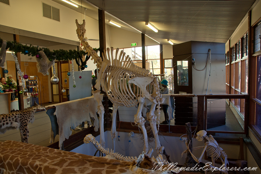 Australia, South Australia, Murray River, Lakes and Coorong, Monarto Zoo - Australian Safari Experience, , 