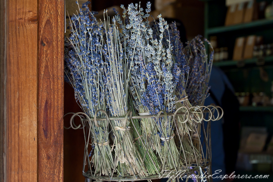 Australia, Victoria, Daylesford &amp; the Macedon Ranges, Lavender Harvest Festival at Lavandula Swiss Italian Farm, , 