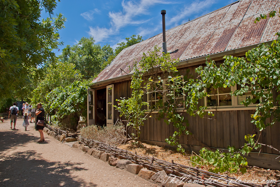 Australia, Victoria, Daylesford &amp; the Macedon Ranges, Lavender Harvest Festival at Lavandula Swiss Italian Farm, , 