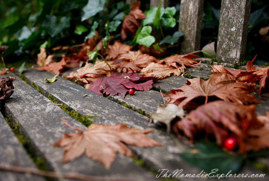 Australia, Victoria, Daylesford &amp; the Macedon Ranges, Autumn in the Macedon Ranges - Duneira Estate, , 