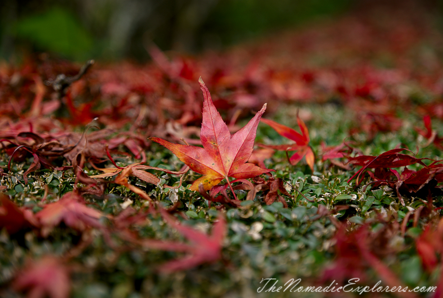 Australia, Victoria, Daylesford &amp; the Macedon Ranges, Autumn in the Macedon Ranges - Duneira Estate, , 