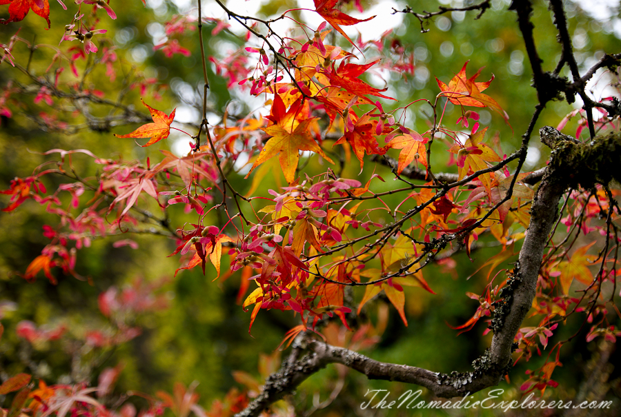 Australia, Victoria, Daylesford &amp; the Macedon Ranges, Autumn in the Macedon Ranges - Duneira Estate, , 