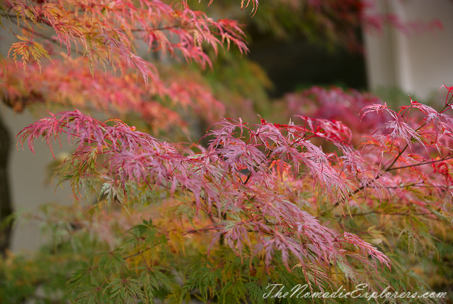 Australia, Victoria, Daylesford &amp; the Macedon Ranges, Autumn in the Macedon Ranges - Duneira Estate, , 