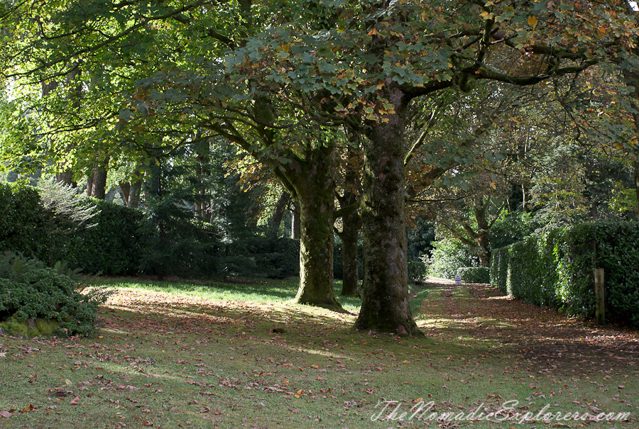 Australia, Victoria, Daylesford &amp; the Macedon Ranges, Autumn in the Macedon Ranges - Duneira Estate, , 