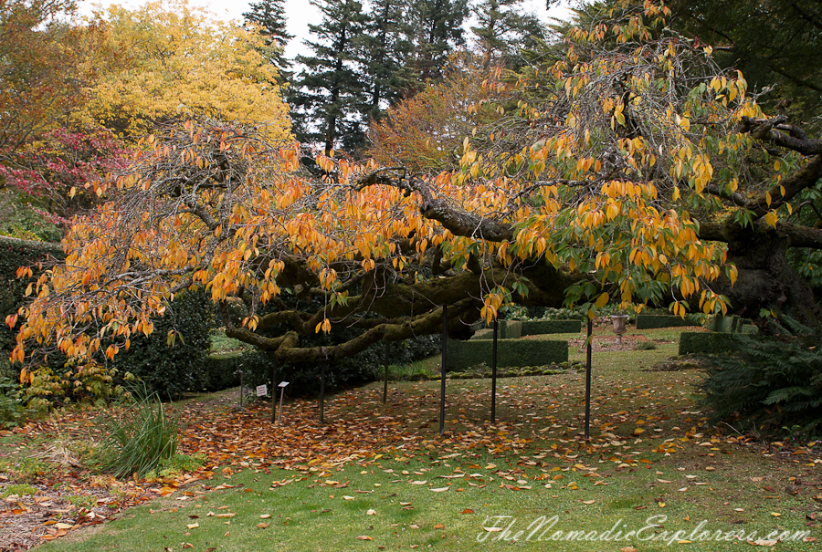 Australia, Victoria, Daylesford &amp; the Macedon Ranges, Autumn in the Macedon Ranges - Duneira Estate, , 