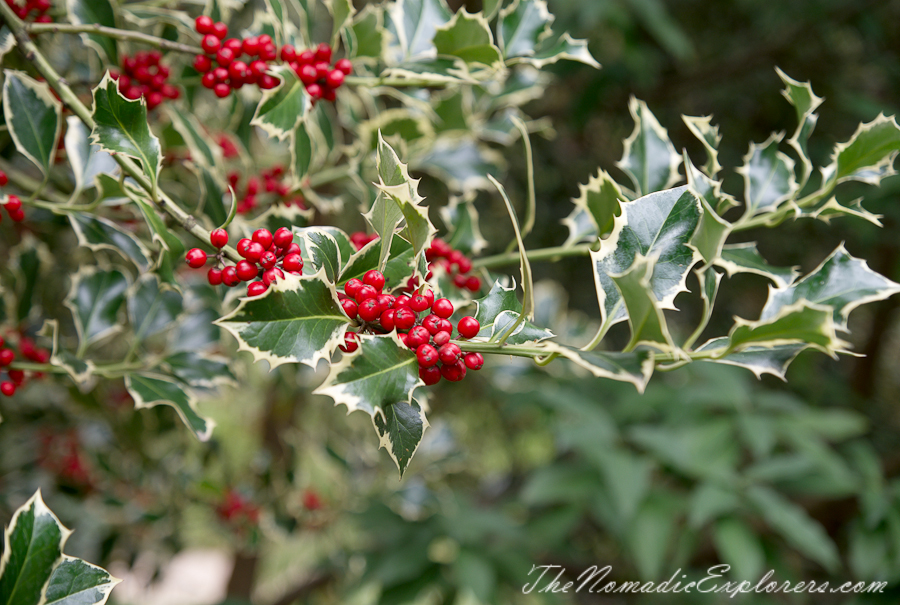 Australia, Victoria, Daylesford &amp; the Macedon Ranges, Autumn in the Macedon Ranges - Duneira Estate, , 