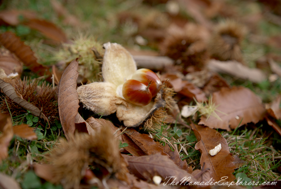 Australia, Victoria, Daylesford &amp; the Macedon Ranges, Autumn in the Macedon Ranges - Duneira Estate, , 