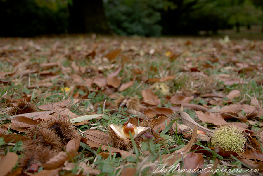 Australia, Victoria, Daylesford &amp; the Macedon Ranges, Autumn in the Macedon Ranges - Duneira Estate, , 