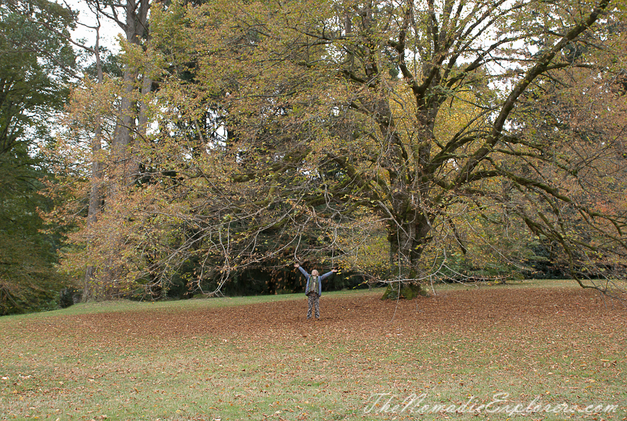 Australia, Victoria, Daylesford &amp; the Macedon Ranges, Autumn in the Macedon Ranges - Duneira Estate, , 