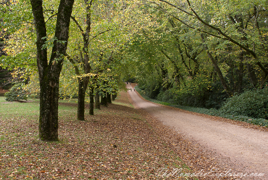 Australia, Victoria, Daylesford &amp; the Macedon Ranges, Autumn in the Macedon Ranges - Duneira Estate, , 