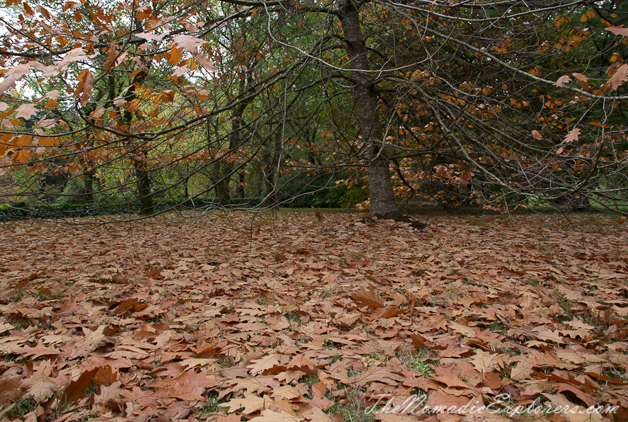 Australia, Victoria, Daylesford &amp; the Macedon Ranges, Autumn in the Macedon Ranges - Duneira Estate, , 