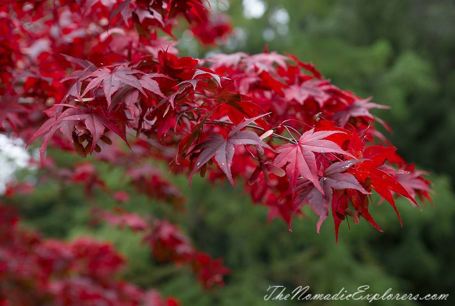 Australia, Victoria, Daylesford &amp; the Macedon Ranges, Autumn in the Macedon Ranges - Duneira Estate, , 