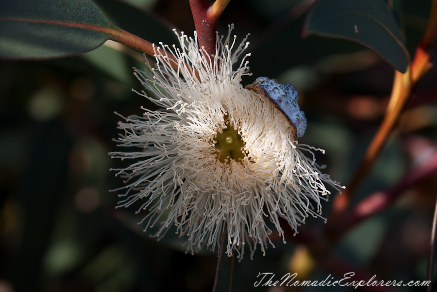 Australia, Victoria, Gippsland, Wilsons Prom Overnight Hike: from Tidal River to Oberon Bay and back, , 