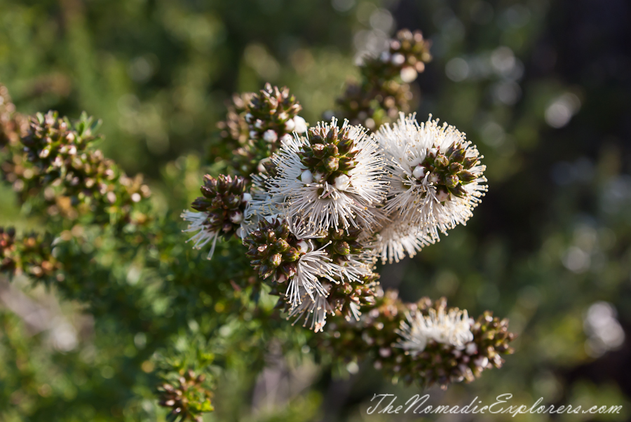 Australia, Victoria, Gippsland, Wilsons Prom Overnight Hike: from Tidal River to Oberon Bay and back, , 