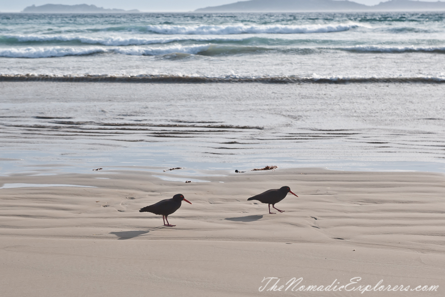 Australia, Victoria, Gippsland, Wilsons Prom Overnight Hike: from Tidal River to Oberon Bay and back, , 