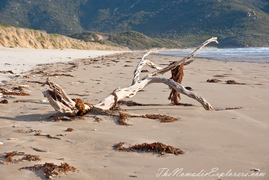 Australia, Victoria, Gippsland, Wilsons Prom Overnight Hike: from Tidal River to Oberon Bay and back, , 