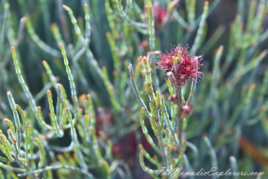 Australia, Victoria, Gippsland, Wilsons Prom Overnight Hike: from Tidal River to Oberon Bay and back, , 