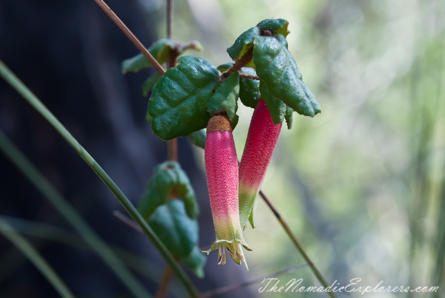 Australia, Victoria, Gippsland, Wilsons Prom Overnight Hike: from Tidal River to Oberon Bay and back, , 