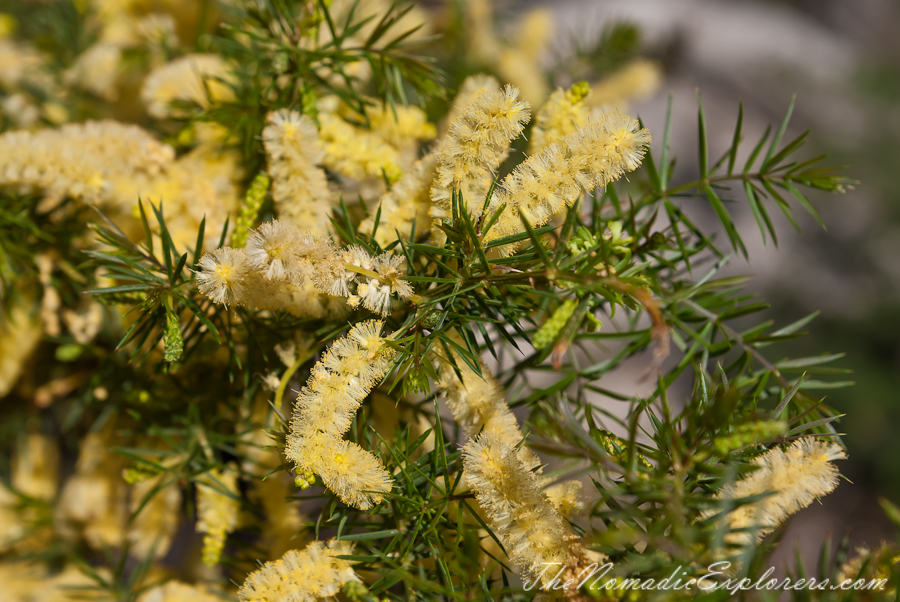 Australia, Victoria, Gippsland, Wilsons Prom Overnight Hike: from Tidal River to Oberon Bay and back, , 