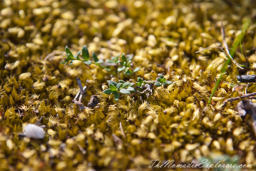 Australia, Victoria, Gippsland, Wilsons Prom Overnight Hike: from Tidal River to Oberon Bay and back, , 