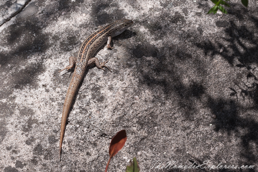 Australia, Victoria, Grampians, The Grampians: Mt Rosea Hike, , 