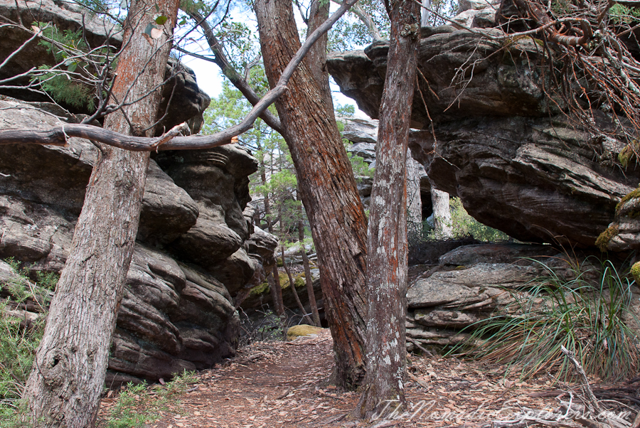 Australia, Victoria, Grampians, The Grampians: Mt Rosea Hike, , 