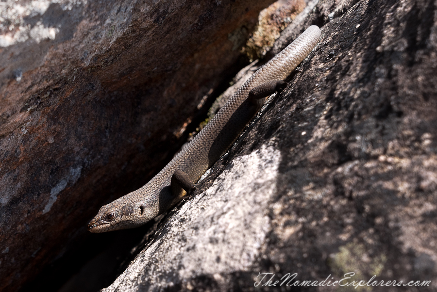 Australia, Victoria, Grampians, The Grampians: Mt Rosea Hike, , 